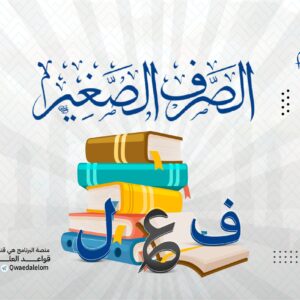 الصرف الصغير