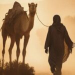 نضال مجيد عبدالله عياش