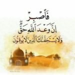 محمود رائد